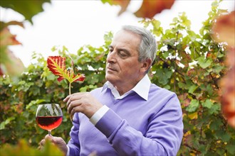 Winemaker or vintner holding a glass of wine in his vineyard