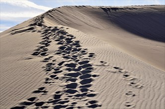Ridge of a dune with footprints