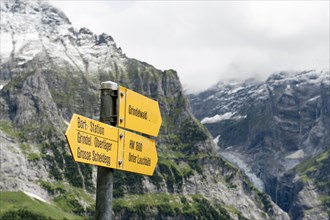 Yellow signposts between Grosse Scheidegg Pass and Grindelwald