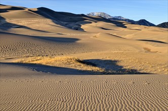 Great Sand Dunes National Park in the evening light