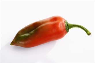 Pointed pepper (capsicum)