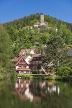 Stadtsee lake with Burg Liebenzell Castle