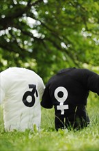 Two T-shirts with the symbols of Mars and Venus on a meadow
