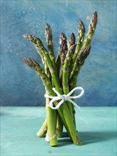 Bunch of fresh asparagus spears