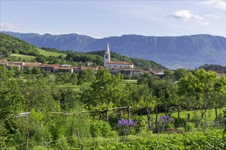 View of the wine village