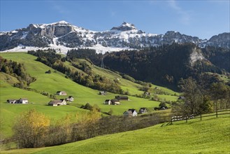 Green pastures in Appenzellerland in front of the snow-capped Appenzell Alps