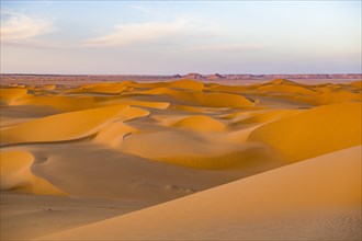 Evening light in the sanddunes of the Sahara