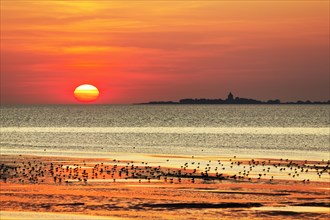 Orange sunset over the North Sea