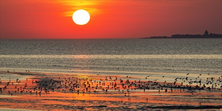 Orange-red sunset over the North Sea