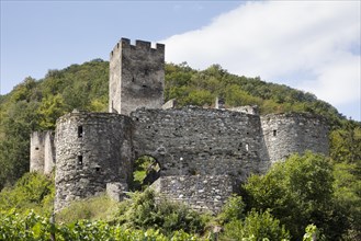 Hinterhaus castle ruins
