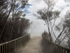 Way in thermal area at steaming hot spring