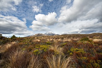 Volcano Mount Tongariro and Mount Ngauruhoe