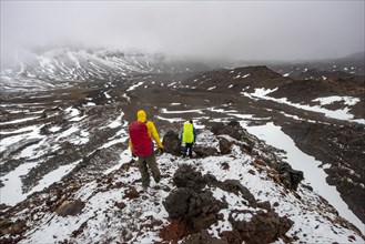 Hikers on hiking trail Tongariro Alpine Crossing in snow over lava fields