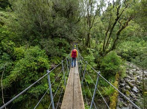 Hiker on suspension bridge in forest