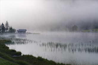 Fog at Lake Ferchensee