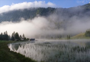 Fog at Lake Ferchensee