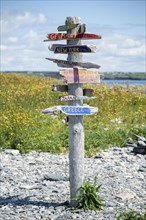 Direction sign in different directions
