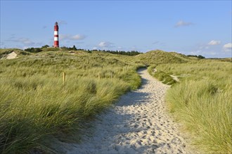 Amrum lighthouse in dune area