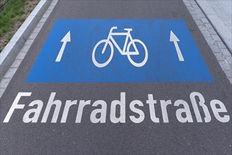 Sign bicycle path on the road