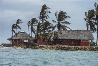 Traditional huts under palm trees