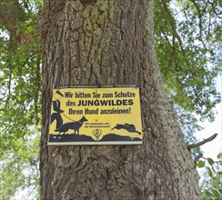 Attack on a tree with the inscription We ask you to leash your dog to protect young game