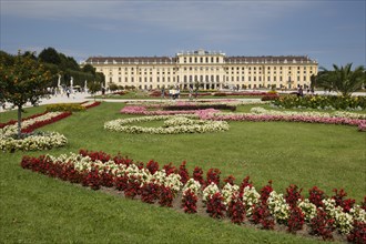 Flowerbeds in front of Schonbrunn Palace