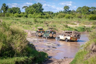 Game viewers carrying tourist drive through a stream in Maasai Mara National Reserve