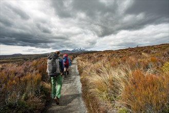 Hikers on hiking trail Tongariro Northern Circuit