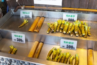 Wasabi roots for sale in a counter