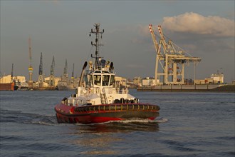 Tugboat in Port