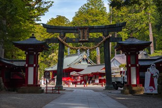 Torii Gate at Nikko Futarasan Shrine