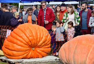 Saratoga Giant Pumpkin Festival