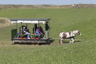 Horse-drawn tram