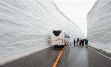 Snow Wall Walk