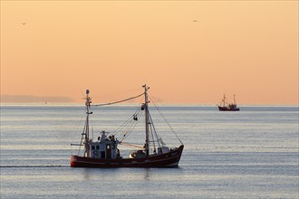 Fishing boat on fishing trip in the evening light