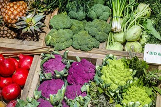 Organic vegetables in the organic market