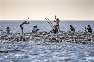 Salt miners dig away at the salt flats in the Danakil Depression