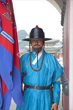 Palace guard at the Royal Palace Gyeongbokgung