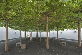 Relaxation room with plane trees