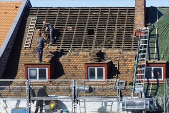 Roofers cover old roof trusses