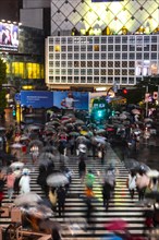 Crowd with umbrellas on zebra crossings at night
