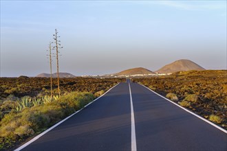 Road through lava field