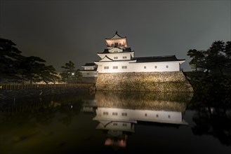 Japanese castle at night