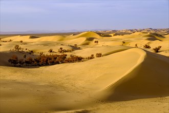 Sand dunes of Elsen Tasarkhai