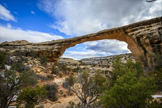 Rock Arch