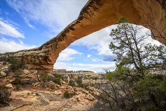 Rock Arch