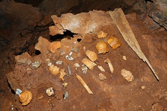 Prehistoric human bone remains