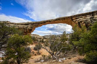 Rock Arch