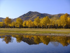Autumn-coloured trees are reflected in the Tuul River at the entrance to Gorchi Terelj National Park