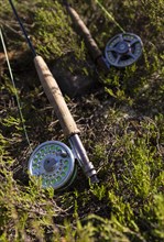 Two fly rods lying on the forest floor